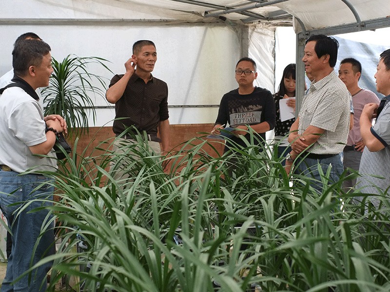 台湾兰花专家来我公司指导