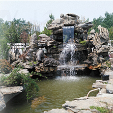 春来生产忙 苗木销售旺