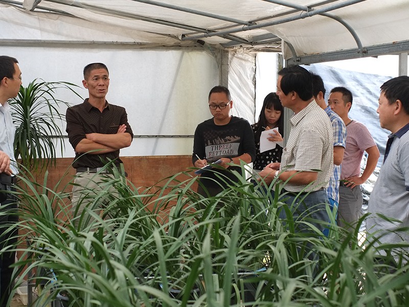 台湾兰花专家来我公司指导